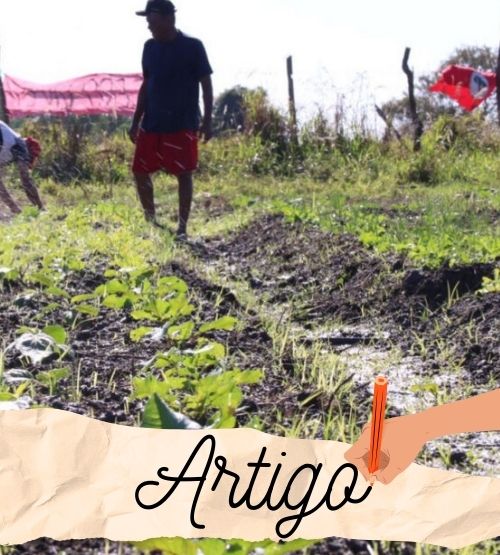 Plantação de horta coletiva em acampamento do MST em Campos: produção de alimentos orgânicos com base na agroecologia