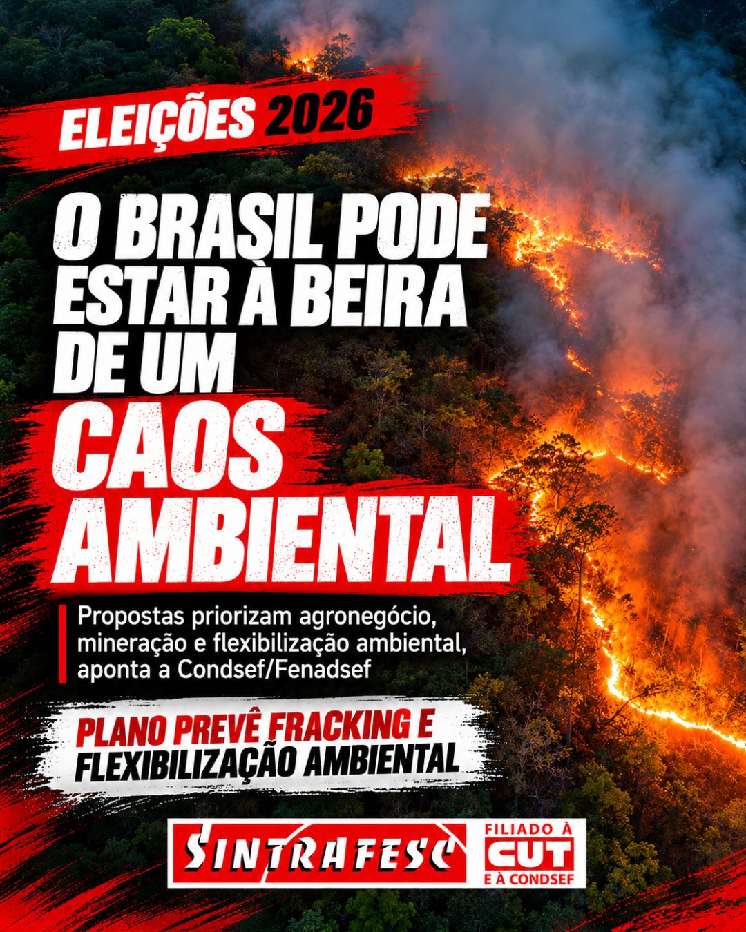 O Brasil pode estar à beira de um caos ambiental