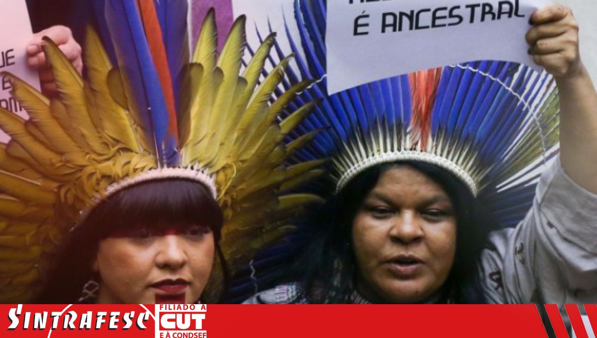 Ministra dos Povos Indígenas pretende pedir novamente a inconstitucionalidade do marco temporal